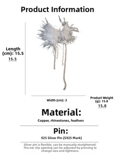 Détail de boucles d'oreilles en argent avec strass, plumes et longs pompons
