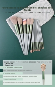 Detail of 13-piece makeup brush set with green ferrules and gray storage bag