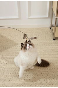 Close-up of flexible feather cat toy with wooden beads and a playful Ragdoll cat