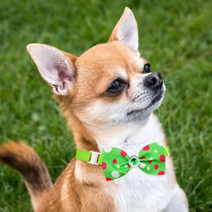 Grüne Polka-Dot Tierfliege mit Strassstein für Hunde auf einer Wiese im Freien