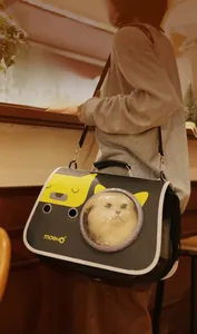 Close-up of portable pet carrier bag with transparent space capsule window and cat inside