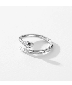 Macro shot of silver snake ring featuring textured scales and tiny gemstone eyes