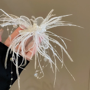 Vue détaillée d'une pince à cheveux papillon blanche avec plumes douces et cristaux