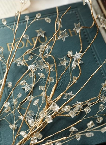 Detail of glittered golden branch with clear star and crystal stones on green book