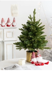 Charming Christmas gnomes and miniature artificial tree in a cozy home holiday setting