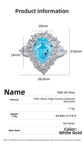Detailed size chart for S925 silver ring featuring dimensions and US sizes 6 to 9