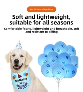 Close-up of blue Birthday Boy pet bandana set with paw print party hat and balloons