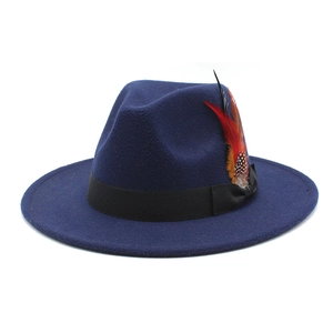 Detailed side view of navy wool fedora hat featuring colorful feather and black ribbon trim