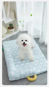 Detailed view of cooling ice silk pet mat with thick cloud pillow for summer