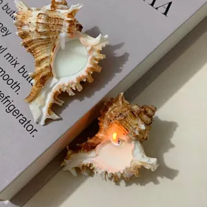 Detailed view of two seashell scented candles with one lit flame on a vintage book base