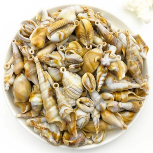 Close-up of natural mix conch shell charms for DIY jewelry making in a white tray