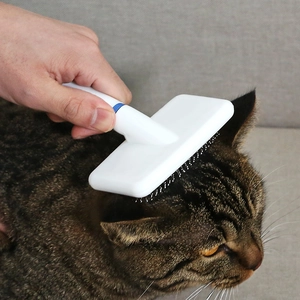 White professional pet slicker brush removing loose hair from a tabby cat on grey background