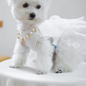 Detail of white lace pet dress with floral embroidery and pink crown pearl necklace