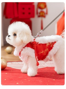 Close-up of red pet vest featuring golden plum blossom embroidery and traditional knot buttons