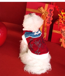 Detailed view of Chinese style pet vest with embroidery, pearl edges and festive knots