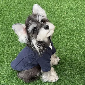 Felpa blu scuro con cappuccio per cani di piccola taglia su prato, stile casual pet