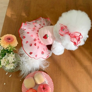 Detail eines rosa Erdbeer-Netzkleides für Hunde mit passendem Schleifen-Haarband