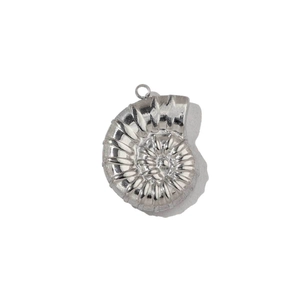 Macro detail of polished stainless steel ammonite pendant with intricate spiral texture
