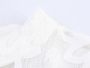 Dettaglio ravvicinato del pizzo bianco idrosolubile con ricamo pesante ed elegante