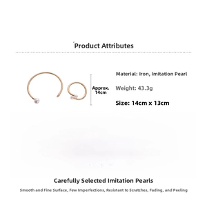 Detailed specs of rose gold choker and cuff set with dimensions of 14cm by 13cm