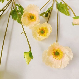 Close-up of light orange artificial poppy with three blooming flowers and a bud