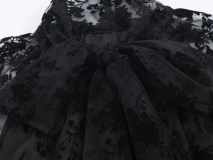 Detail of sheer mesh neckline with velvet floral flocking and black ribbon bow tie