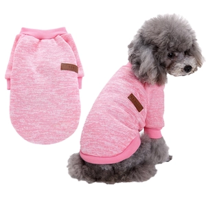 Detailed view of pink knitted puppy hoodie with leather classic patch and teddy dog model