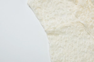 Close-up of off-white lace fabric with intricate floral embroidery and sheer texture