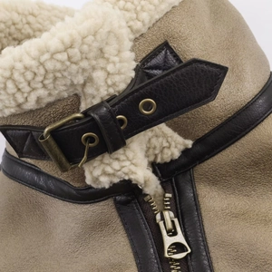 Detailed close-up of faux shearling collar with bronze metal buckle and leather strap