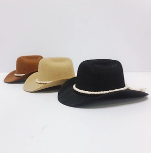 Dreiteiliges Set Mini-Western-Cowboy-Hüte für Haustiere aus Filz in Braun, Beige und Schwarz