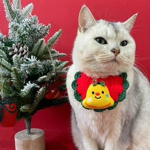 Close-up of a white cat wearing a handmade red and green festive Christmas pet bib with bells