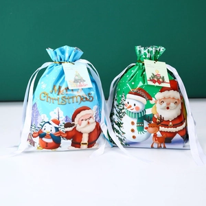 Detail of blue and green Christmas drawstring gift bags with festive Santa and penguin prints