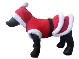 Detail of red Christmas pet costume with white fur trim and black belt on model