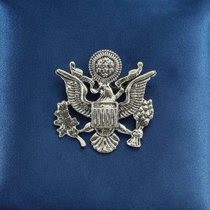 Vintage silver US Great Seal eagle brooch pin with olive branch on blue satin background