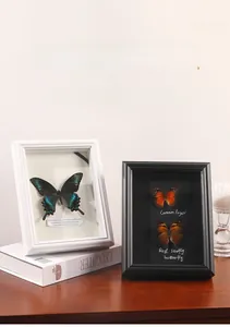 Macro view of black and white hollow shadow box frames with real butterfly specimens