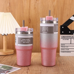 Pink gradient 30oz and 20oz stainless steel vacuum insulated tumblers with metal straws
