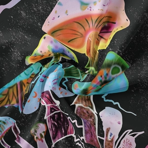 Macro detail of silky black bohemian mushroom tapestry showing fabric texture and vibrant print