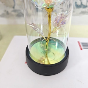 Close-up of rainbow gold foil rose in glass dome with black base and warm lights