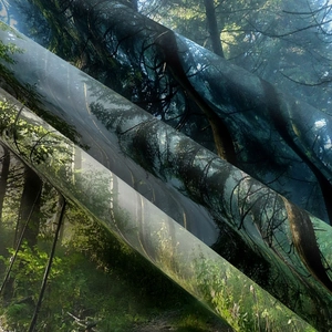 Detailed close-up of forest landscape print on high-quality polyester hanging tapestry