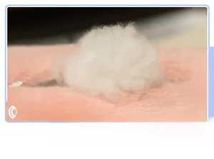 Close-up of soft pink plush fabric and fluffy high-quality white PP cotton filling