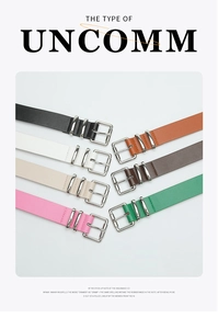 Flat lay of colorful Y2K leather belts with silver polished square buckles and double loops