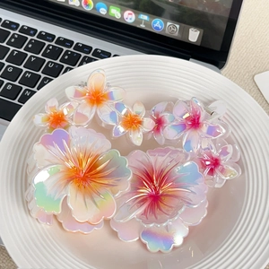 Iridescent gradient flower hair claw clips set in various sizes on a white plate