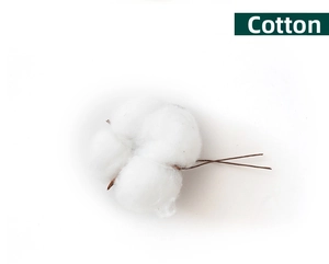 Dettaglio di rami di cotone naturale bianco con steli secchi per decorazione natalizia