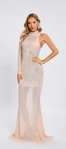 Detailed view of champagne mesh dress with sparkling rhinestones and elegant fishtail hem