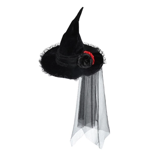 Gothic Halloween witch hat with black lace, red roses and long mesh veil on white background