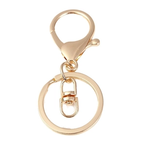 Polished gold zinc alloy spring gate ring and flat key ring assembly on white background