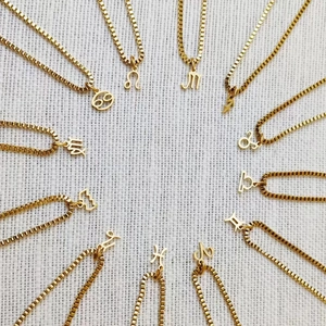 Detailed display of 12 gold stainless steel zodiac necklaces with box chains