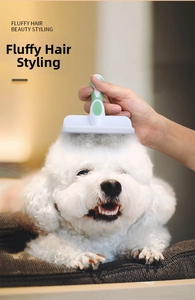 Pet slicker brush for fluffy hair styling shown on a white curly dog with a green handle