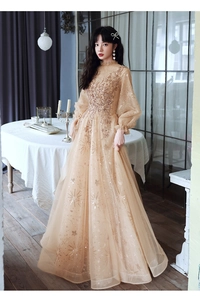 Detail of champagne evening gown with starburst sequins and vintage lantern sleeves