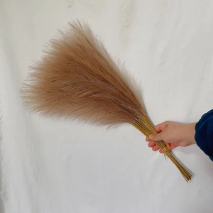 Hand holding 55cm natural pampas grass bouquet against white fabric background